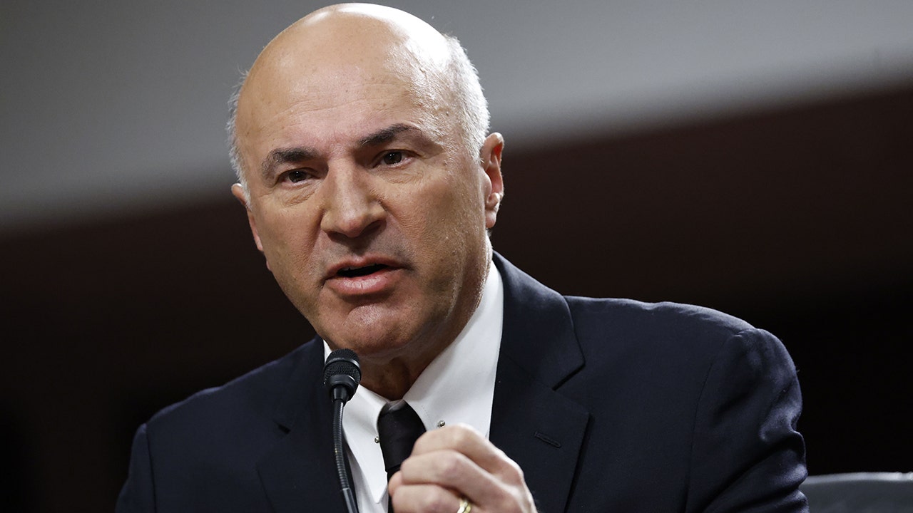 Shark Tank' star Kevin O'Leary trashes blue states for punishing success:  'Heyday years' over