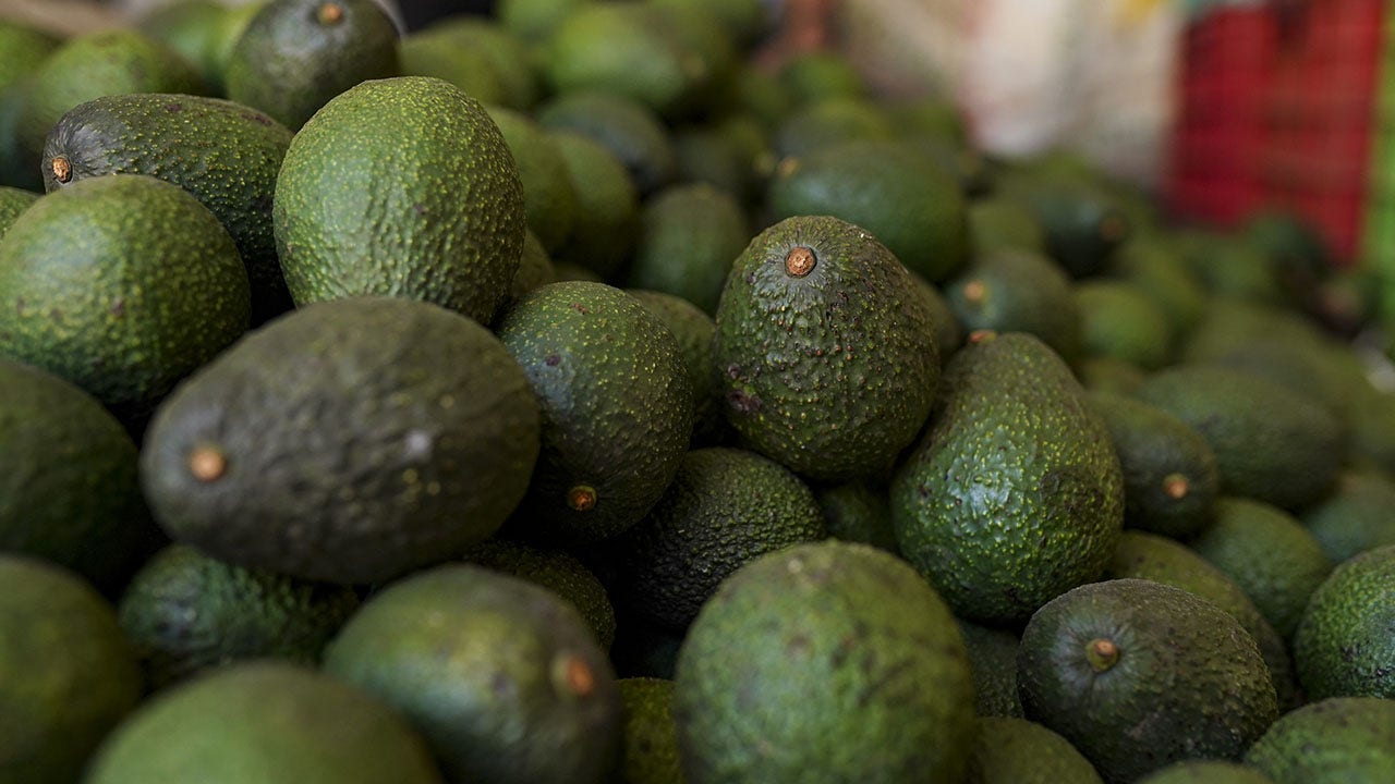 CA commission urges Trump administration to take action to protect avocado ...