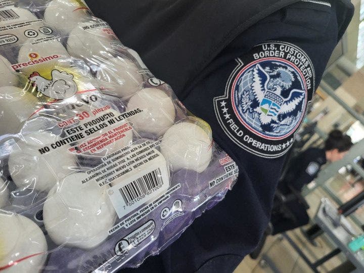 Border Protection warns travelers face fines for smuggling eggs to US