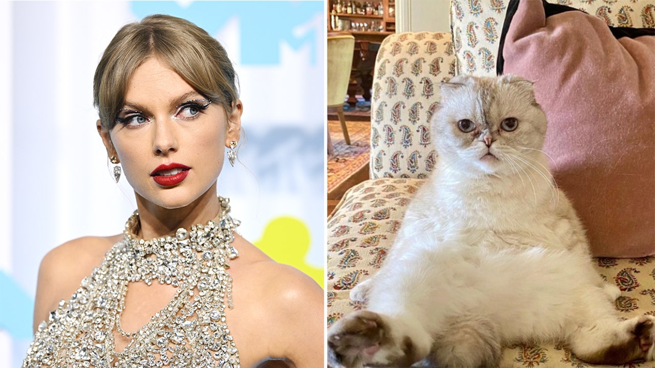 Taylor Swift's cat listed among world's richest pets, reportedly