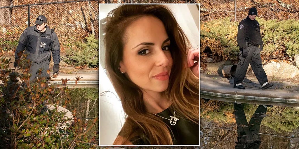 Ana Walshe case: Wealthy Massachusetts seaside enclave rocked by mysterious disappearance - Vimarsana News