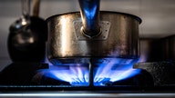 House Republicans call on Biden not to ban gas stoves: ''Nanny state' at its worst'