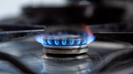 Small business owners torch gas stove ban as ‘blanket’ policy: It ‘isn’t for everyone’