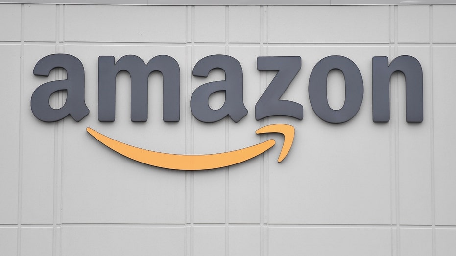 Amazon rolling out palm recognition technology as checkout option at ...