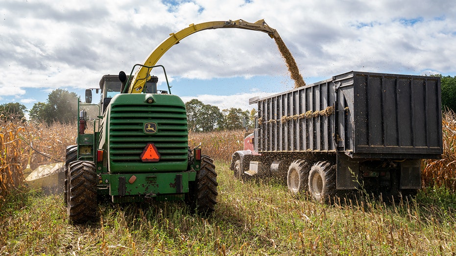 Truck gathers corn crop yield