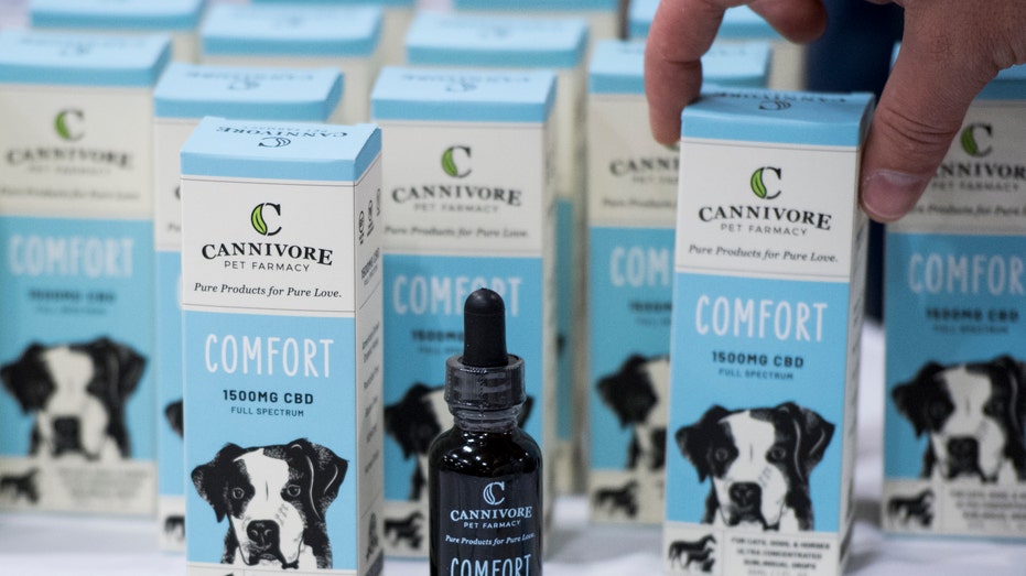 CBD for pets