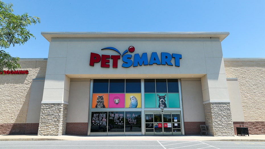 Petsmart toys best sale