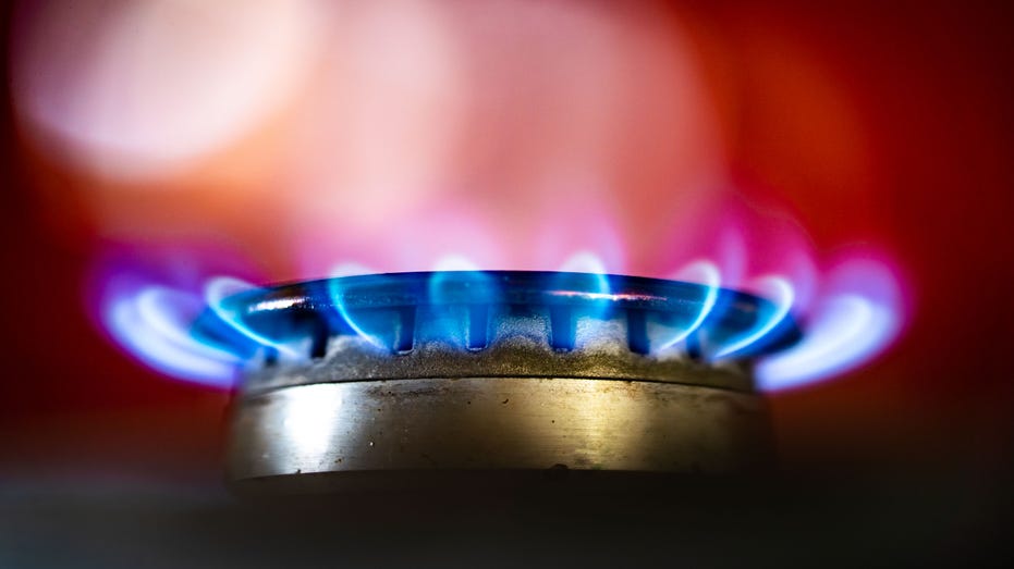 Gas stove