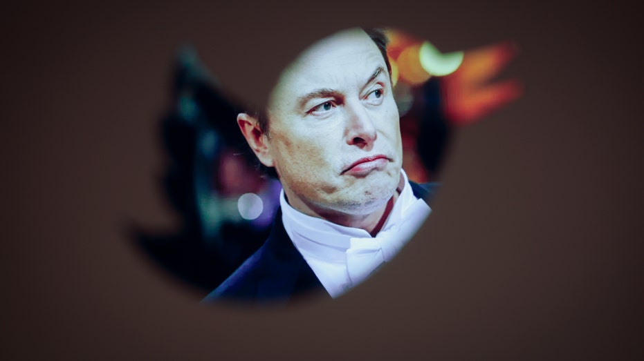 Elon Musk and Twitter logo