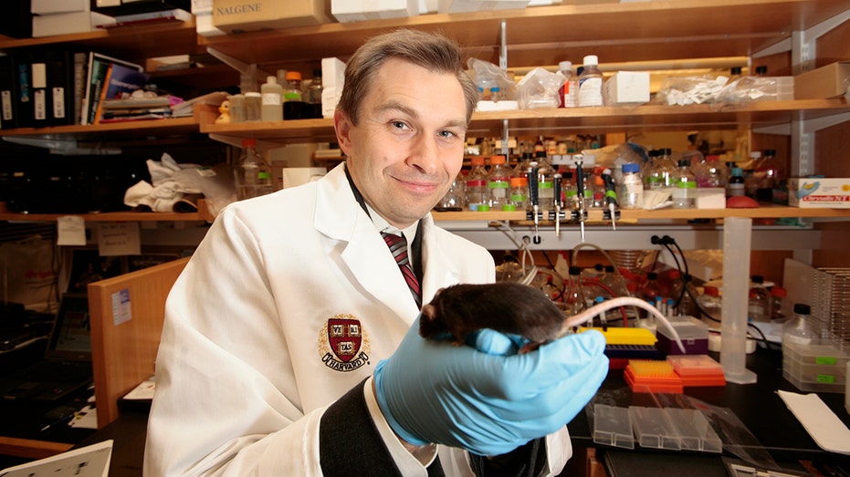 Harvard scientist holds mouse