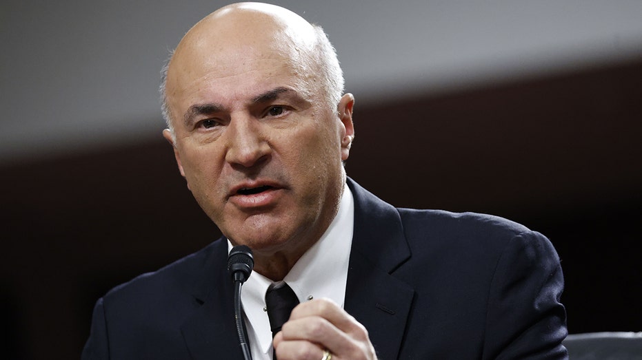 'Shark Tank' Star Kevin O'Leary Trashes Blue States For Punishing ...