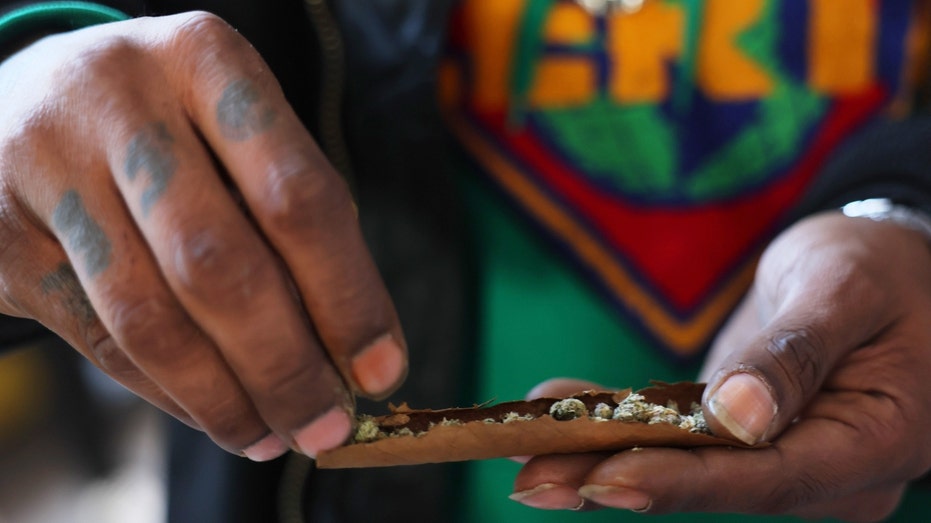 A person rolls a marijuana cigar