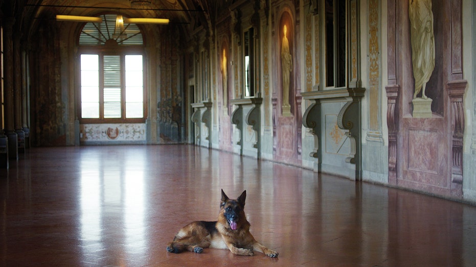 Gunther relaxing in a Italian villa