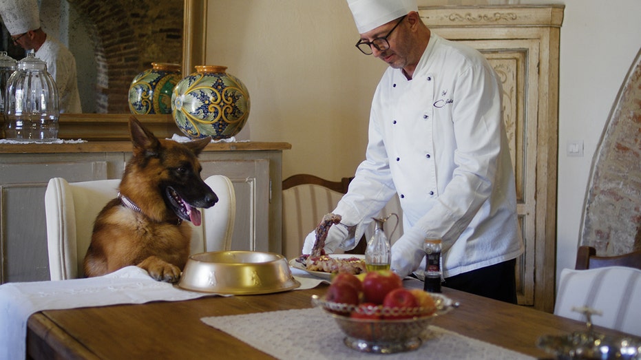 Gunther VI being served by a chef