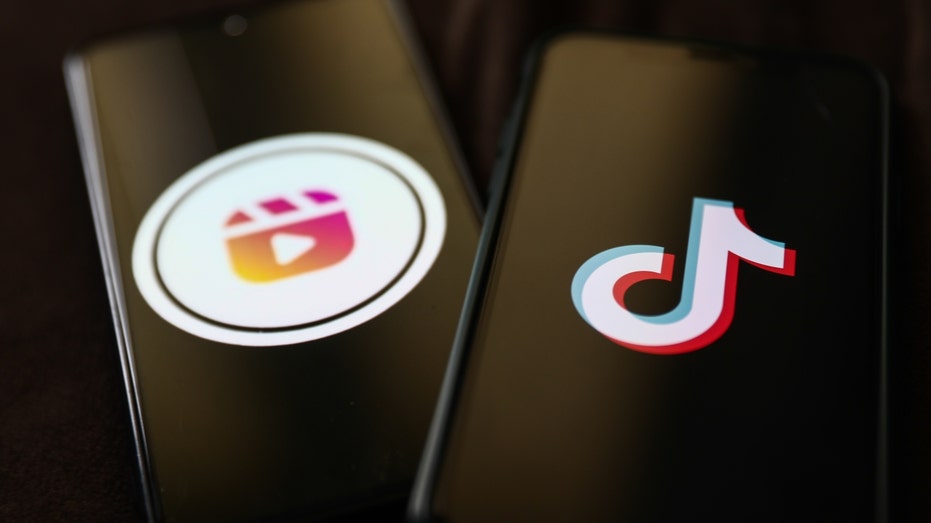 The Instagram Reels logo and TikTok logo