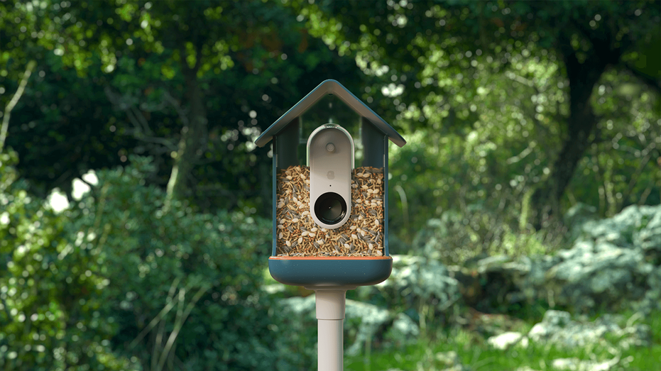 Bird Buddy smart feeder