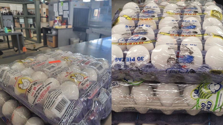 Eggs seized by CBP officers