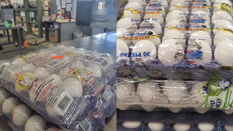 Eggs seized by CBP officers