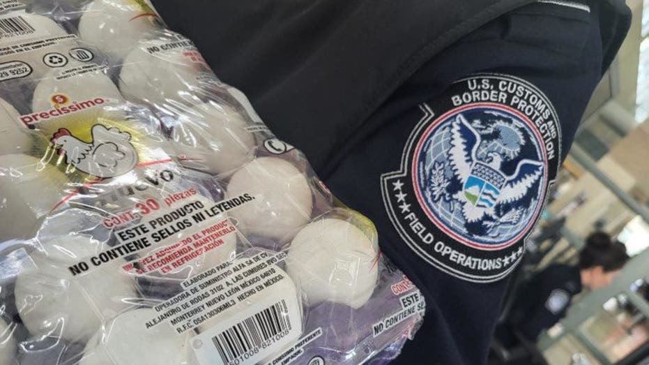 Служител на CBP носи яйца, конфискувани на южната граница