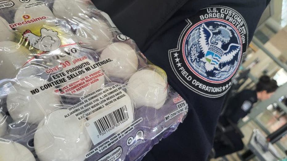 Служител на CBP носи яйца, конфискувани на южната граница