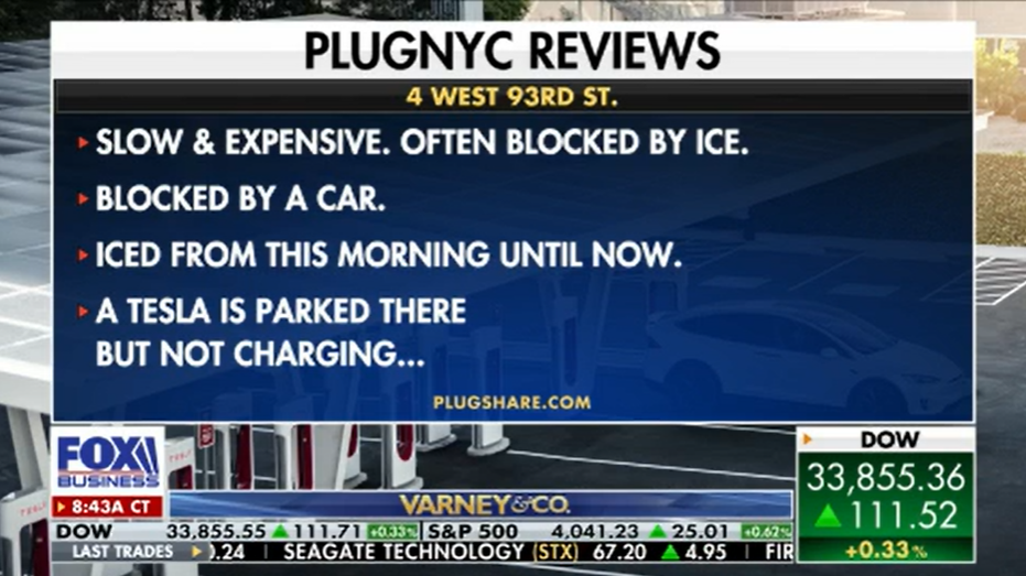 plugnyc reviews graphic