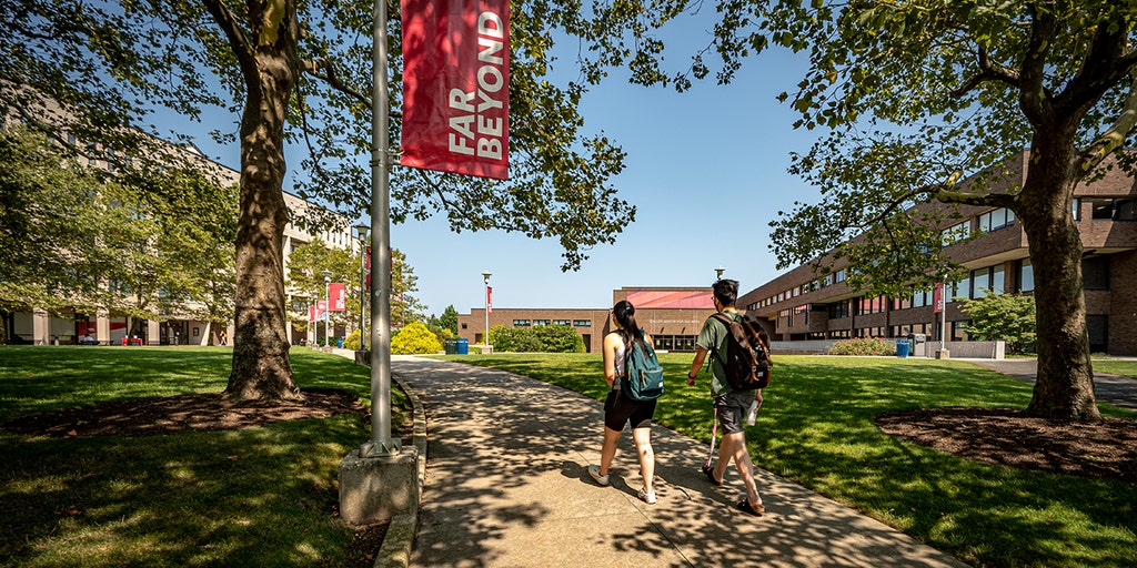 Professor claims SUNY colleges are 'brainwashing' students with several mandatory diversity courses - Vimarsana News