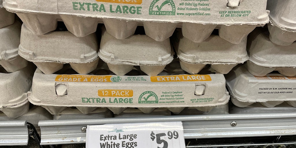 Surging egg prices giving rise to plant-based alternatives - Vimarsana News