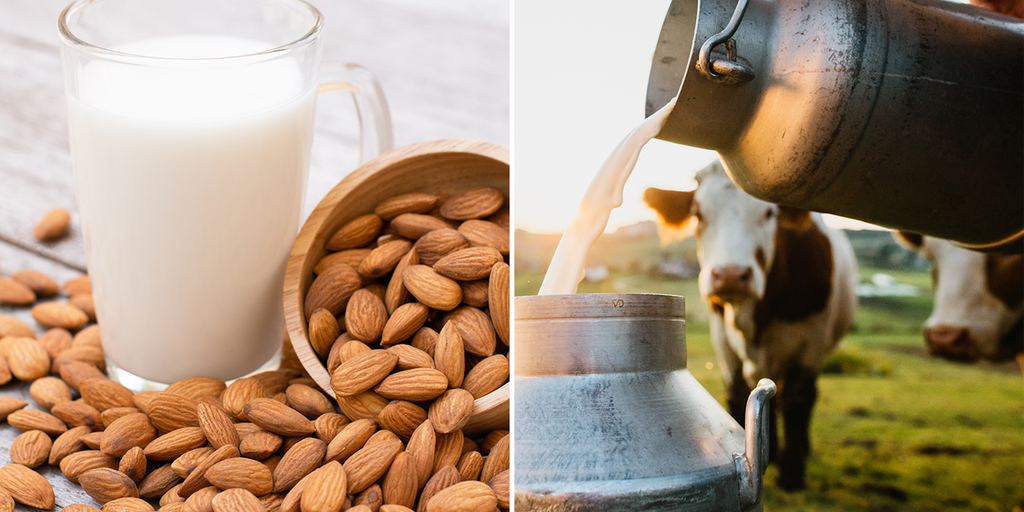 FDA draft suggests plant-based milk may be called 'milk': What dairy farmers, legal experts have to say - Vimarsana News