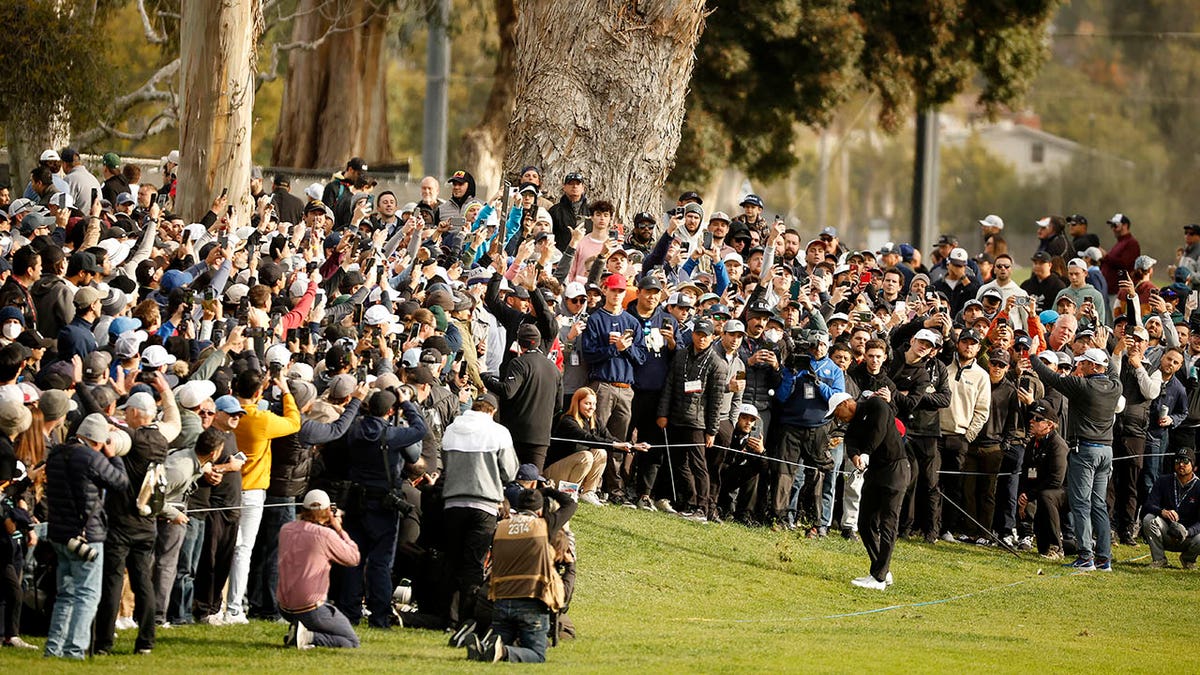 Fans watch Tiger Woods