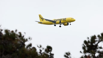 Spirit Airlines to sell 20 jets, recalls furloughed flight attendants - Fox News