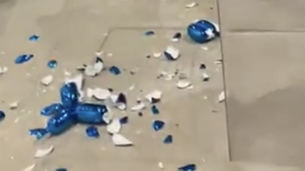 shatterd dog glass