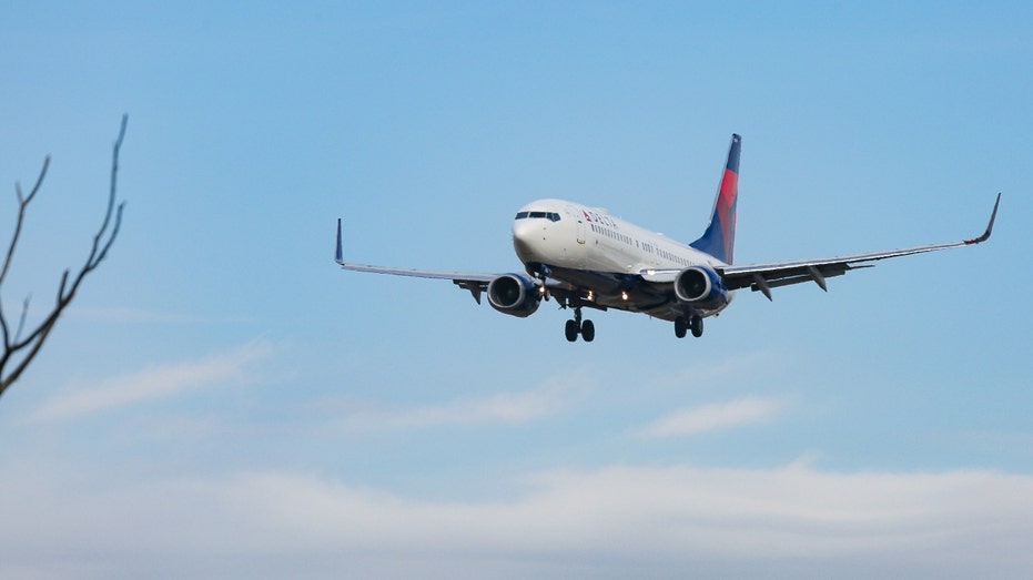 Delta Air Lines Boeing 737-800 commercial aircraft