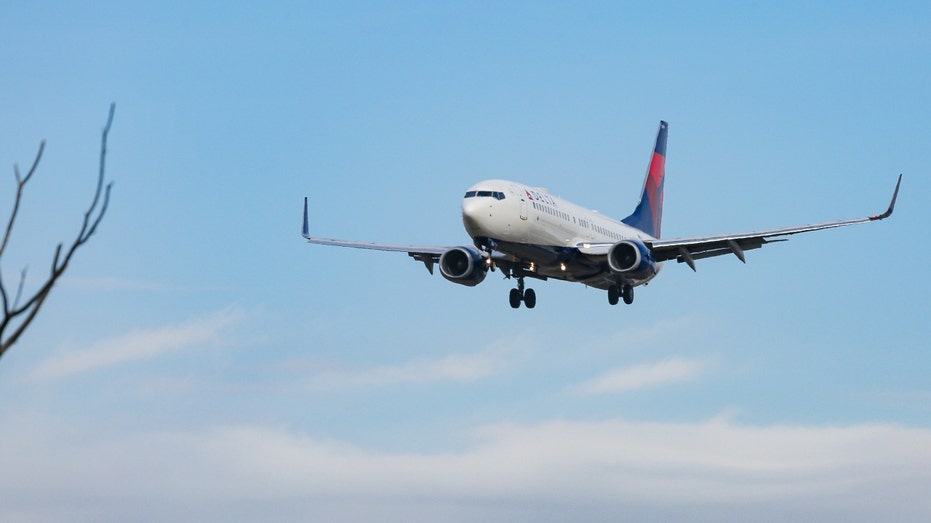 Delta Air Lines Boeing 737-800 commercial aircraft