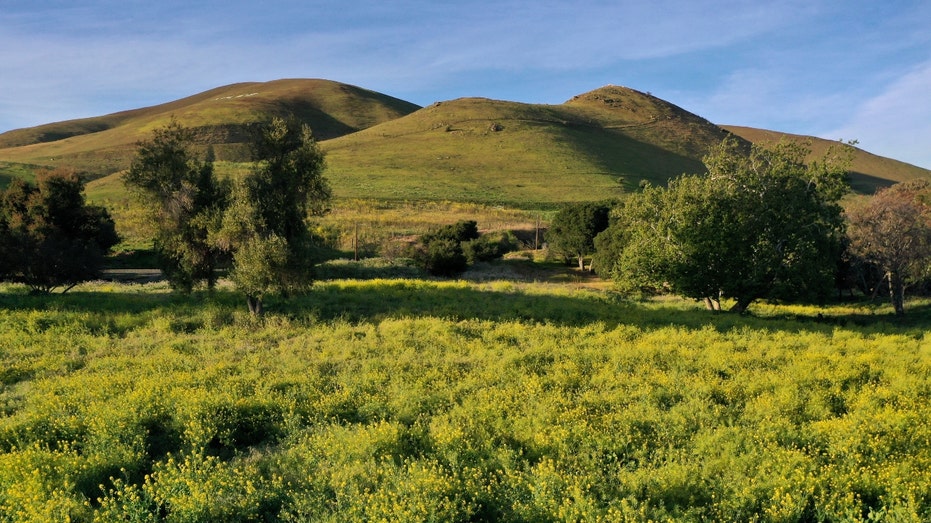 A drone view of Fremont, Calif., hills