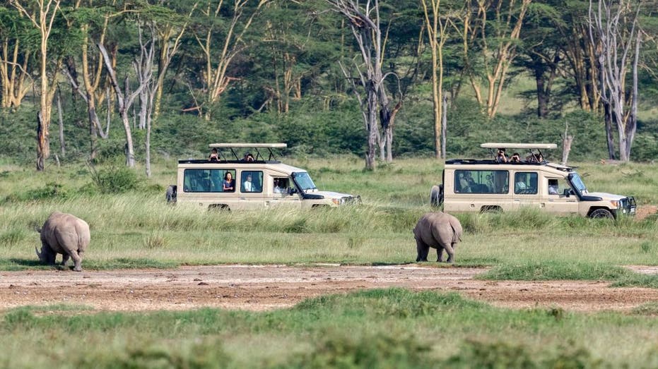Safari at Lake Nakuru National Park, Kenya
