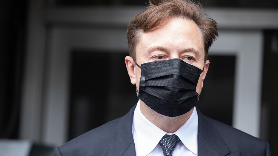 Elon Musk wears mask