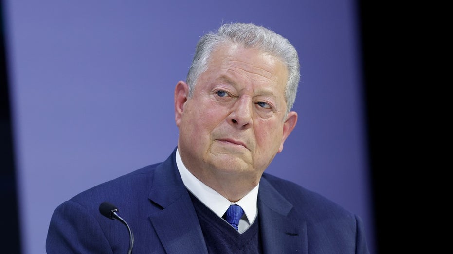 Al Gore at World Economic Forum