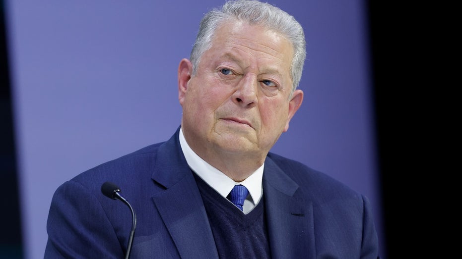 Al Gore at World Economic Forum