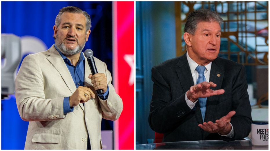 Ted Cruz and Joe Manchin speak