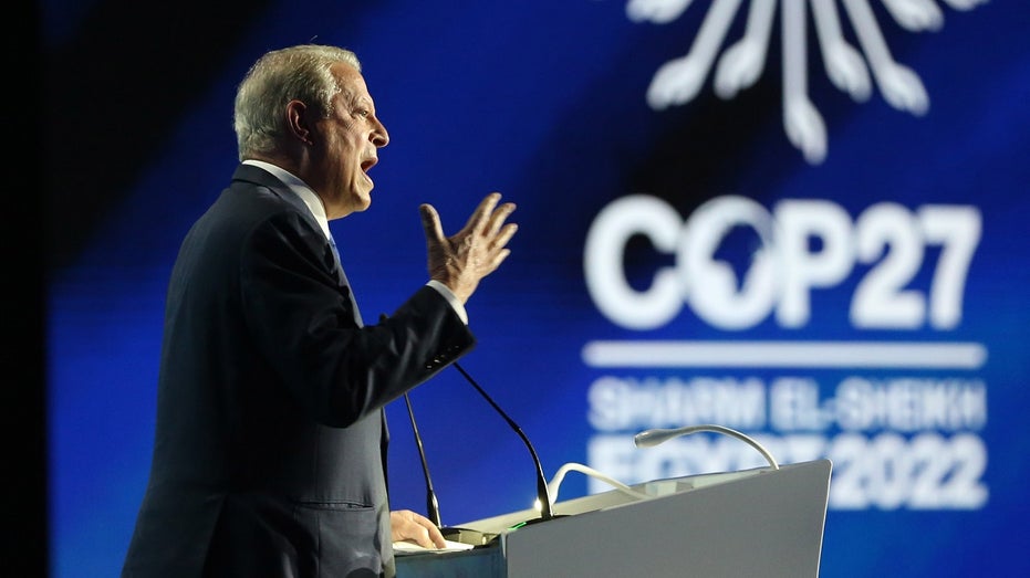 Al Gore speaks at COP27