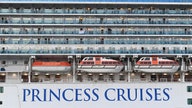Princess Cruises says norovirus is 'likely' source of ship outbreak