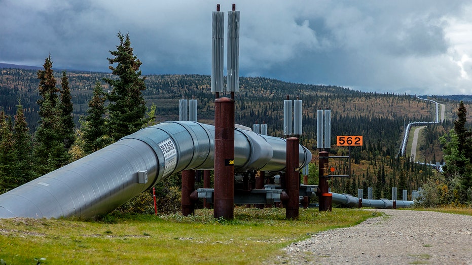 Oil pipeline runs through Alaska ground