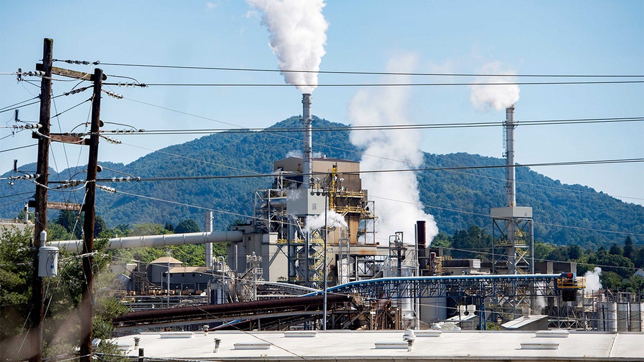 The Canton, North Carolina paper mill is seen in 2014