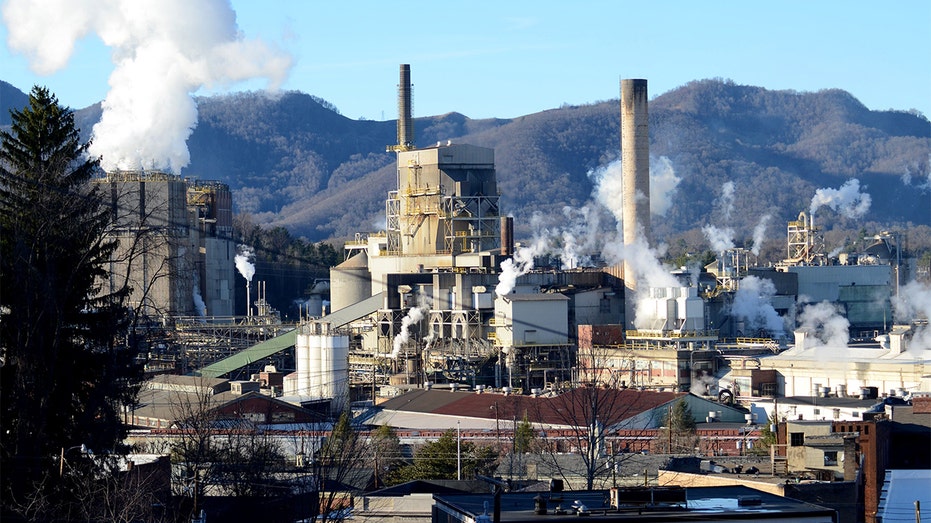 The Canton, North Carolina paper mill is seen in 2014