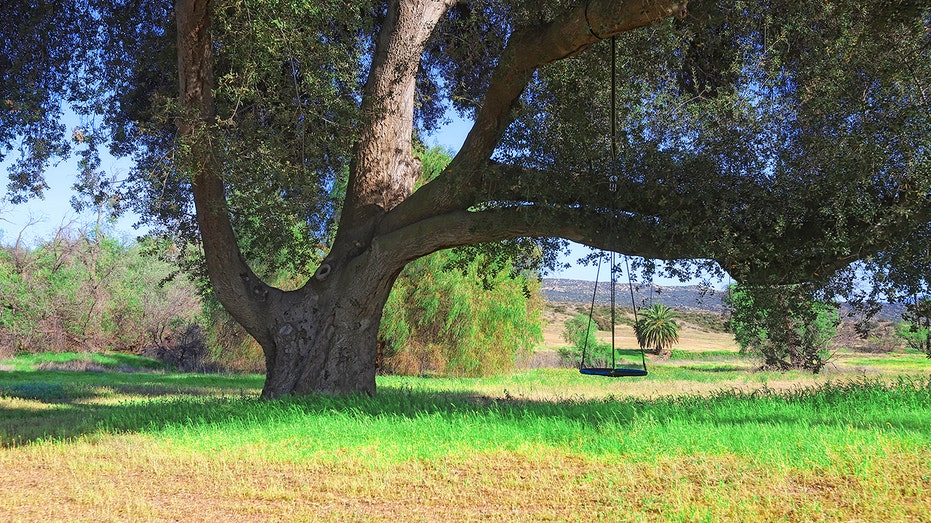A tree view of John Wayne's ranch in California