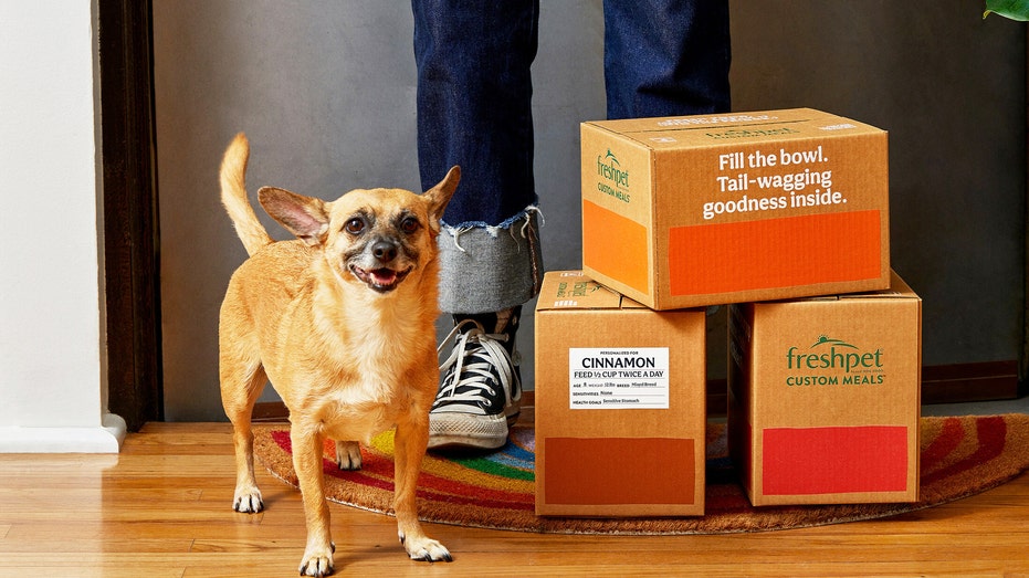Dog and person;'s legs in a doorway with boxes of Freshpet custom meals