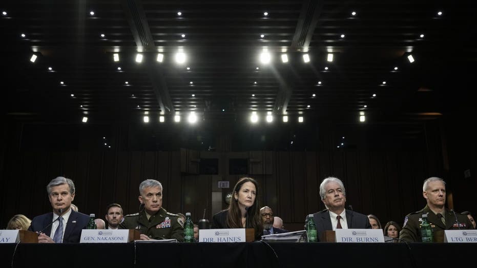 senate intel committee witnesses