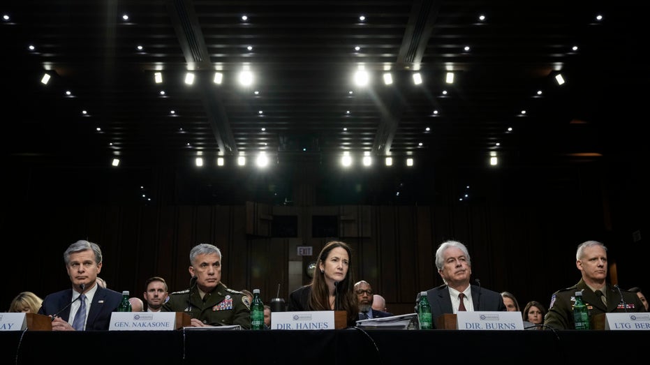 senate intel committee witnesses