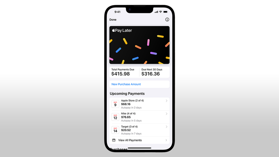 Apple buy now pay later app