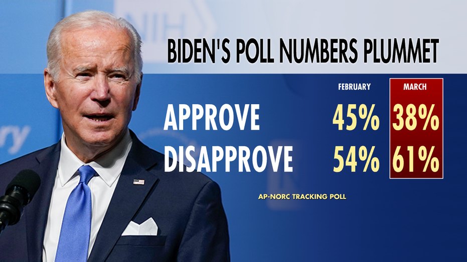Biden polls